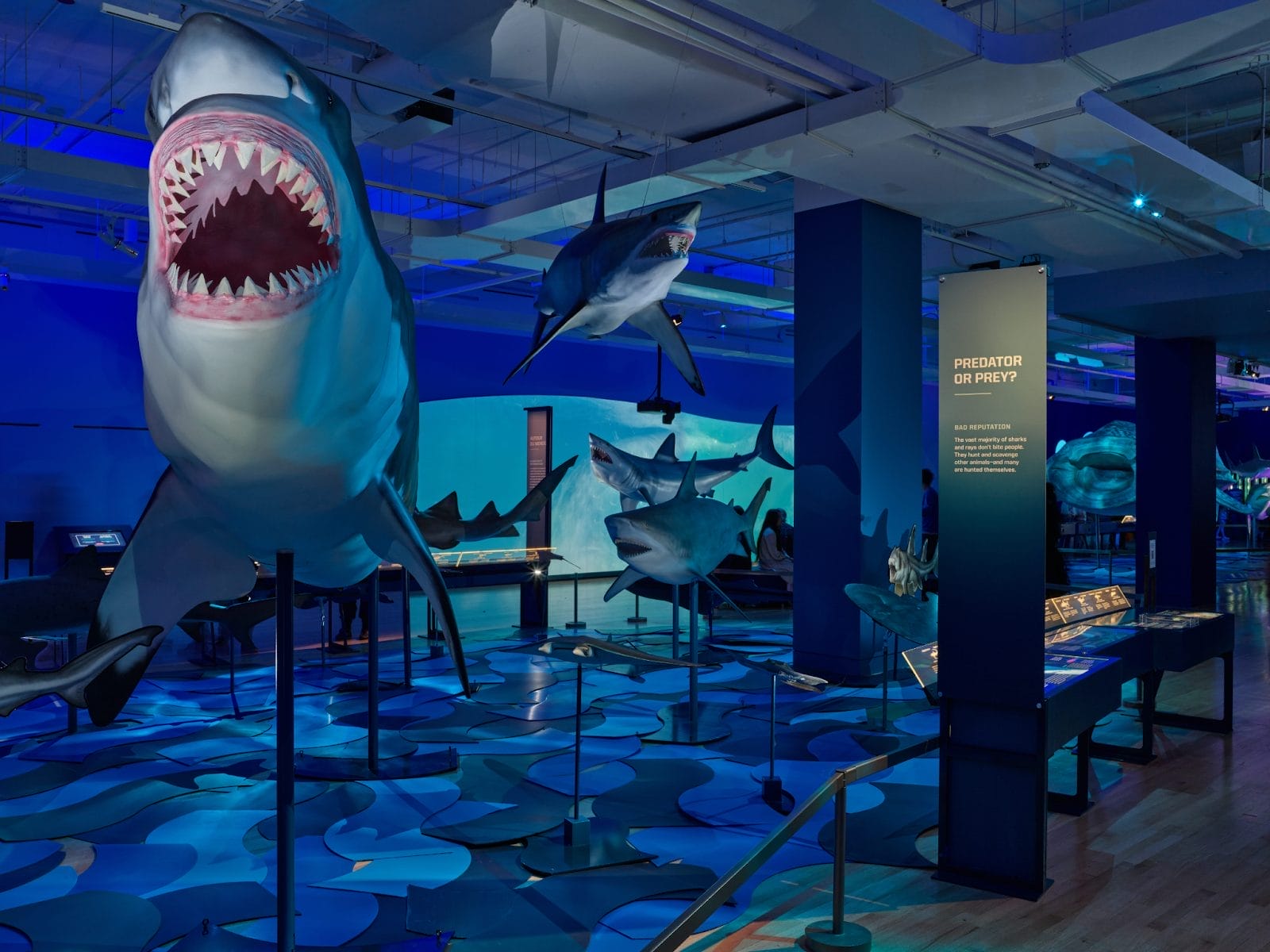 Things to Do in Toronto This Week