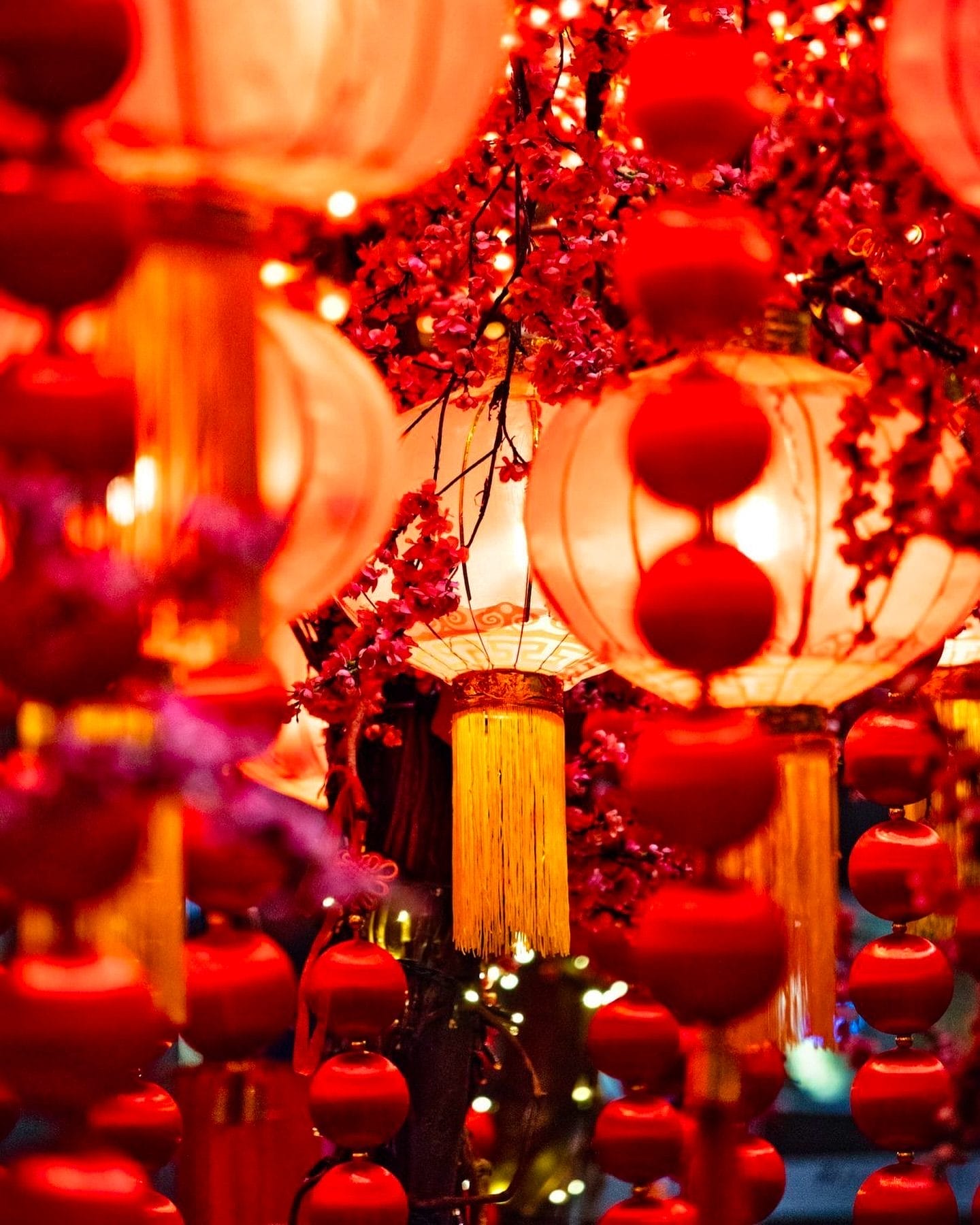 Lunar New Year 2026 Toronto