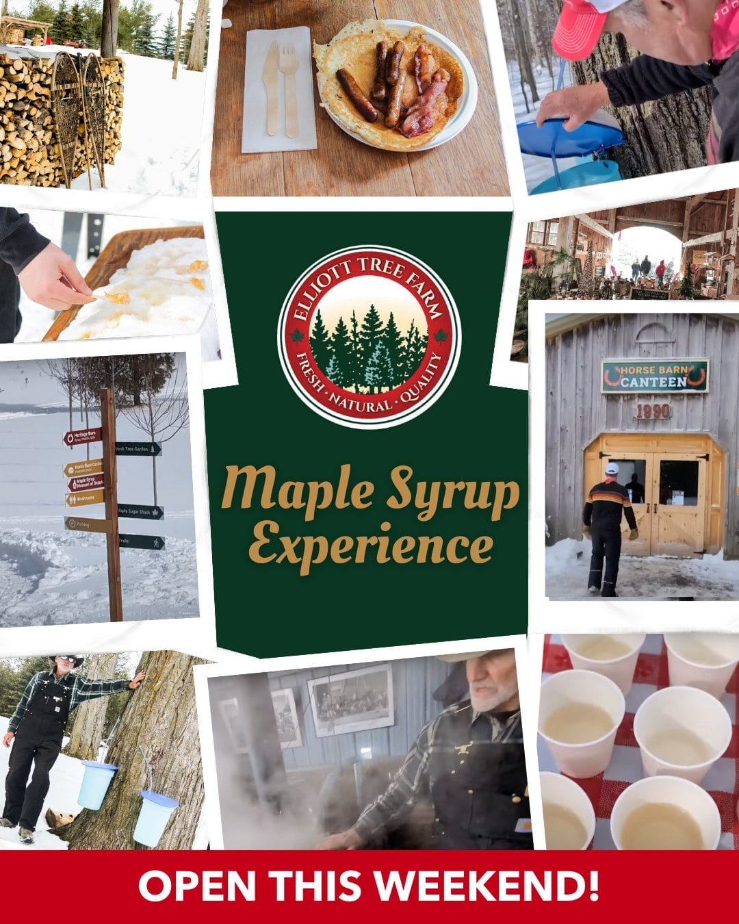 Family Day Weekend Maple Syrup Festivals 2026
