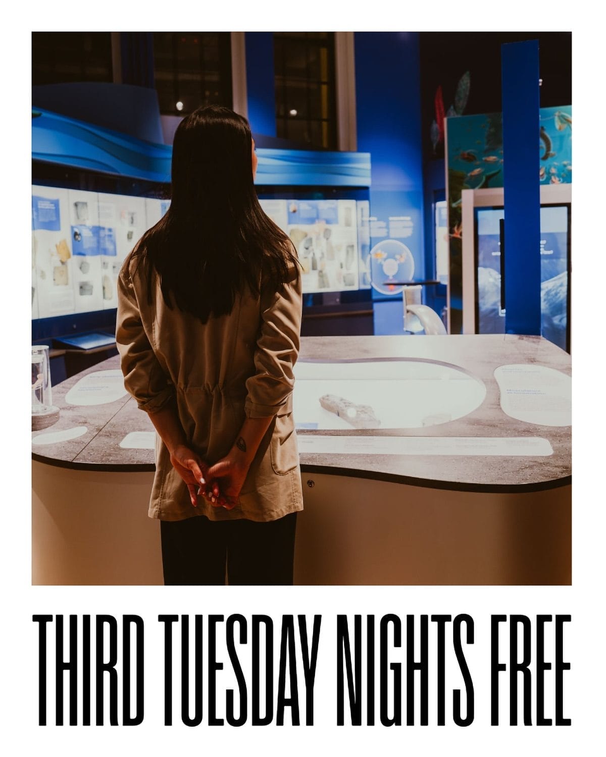 Free Indoor Things to Do in Toronto January