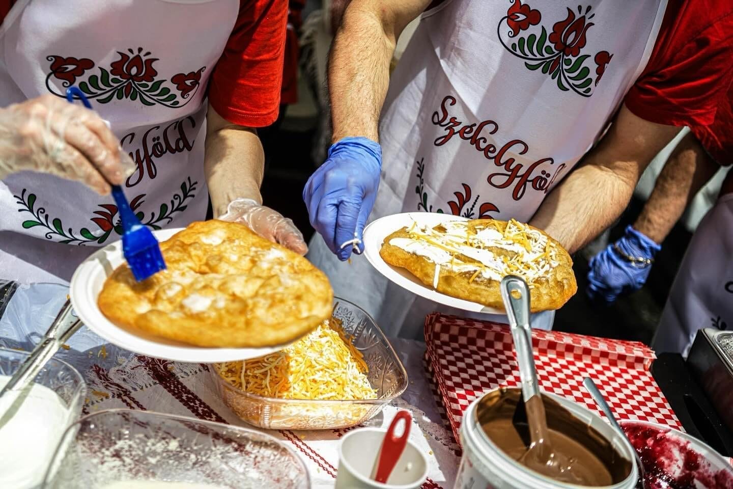 HungaroFest Toronto