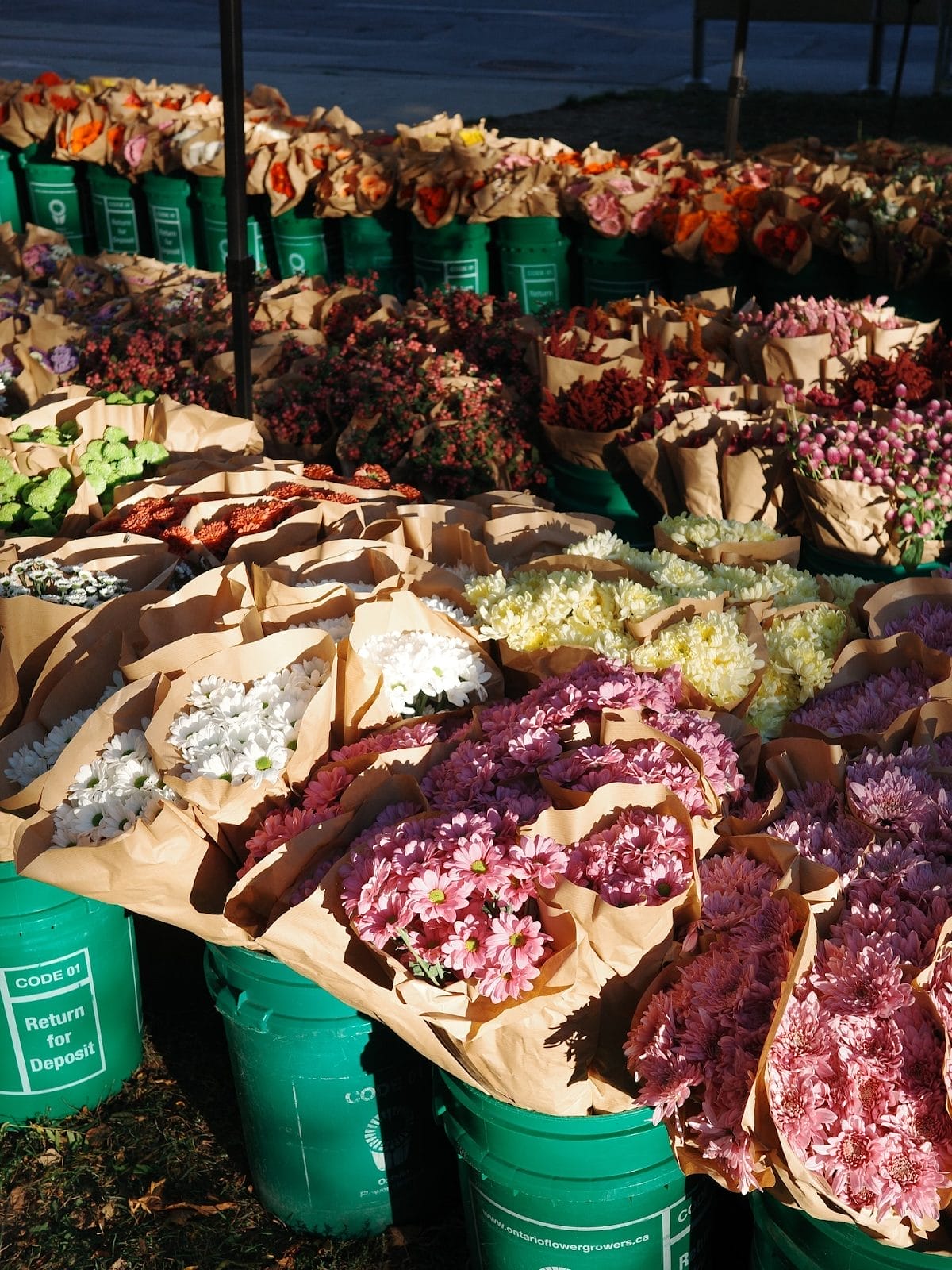 Toronto Flower Market