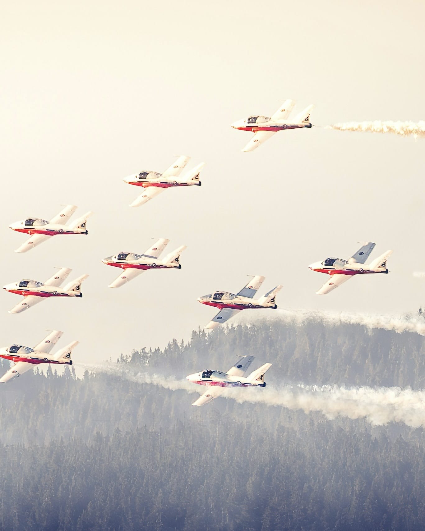 Snowbirds grounded