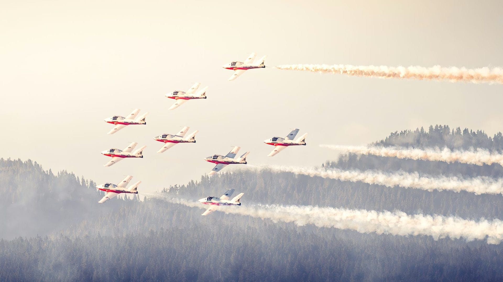 Snowbirds grounded